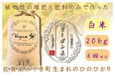 CQ031 【6か月定期便】ビーガン米20kg　白米【植物性で育てた完全無農薬のサガンベジブランド】