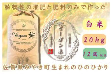 CQ032【12か月定期便】ビーガン米20kg　白米【植物性で育てた完全無農薬のサガンベジブランド】