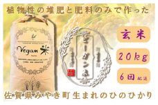 CQ033 【6か月定期便】ビーガン米20kg　玄米【植物性で育てた完全無農薬のサガンベジブランド】
