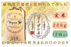 CQ034 【12か月定期便】ビーガン米20kg　玄米【植物性で育てた完全無農薬のサガンベジブランド】