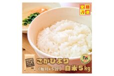 CIC60_【５回定期便】さがびより白米５kg 【五つ星お米マイスター厳選！】