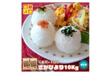 CIC75_【５回定期便】無洗米さがびより１０ｋｇ（５ｋｇ×２袋） 【五つ星お米マイスター厳選！】