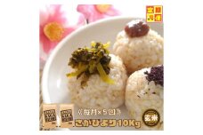 CIC69_【５回定期便】さがびより１０kg【玄米】（５kg×２袋） 【五つ星お米マイスター厳選！】