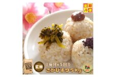 CIC66_【５回定期便】さがびより【玄米】５kg 【五つ星お米マイスター厳選！】