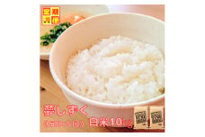 CIC94_『新米予約初回2025年10月発送』【５回定期便】『夢しずく』白米10ｋｇ（５kg×２袋） 【五つ星お米マイスター厳選！】