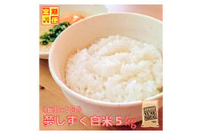 CIC92_『新米予約初回2025年10月発送』【５回定期便】『夢しずく』白米５ｋｇ 【五つ星お米マイスター厳選！】