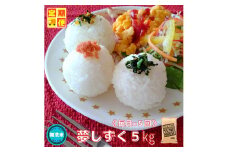 CIC96_『新米予約初回2025年10月発送』【５回定期便】無洗米『夢しずく』５ｋｇ 【五つ星お米マイスター厳選！】