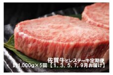 DP036　黒毛和牛最高峰！佐賀牛ヒレステーキ定期便(1,3,5,7,9月お届け)佐賀牛ヒレステーキ１キロ(5枚で1キロ)総量5キロ