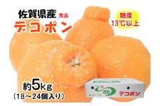 BF028　デコポン 秀品 約5ｋｇ（約18～24個）糖度13度以上 フルーツ　みかん 不知火　佐賀県産