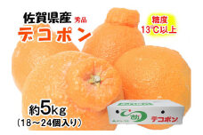 BF028　デコポン 秀品 約5ｋｇ（約18～24個）糖度13度以上 フルーツ　みかん 不知火　佐賀県産