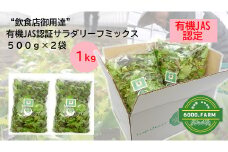 FV004【飲食店御用達】有機JAS認証サラダリーフMix(500g×２袋　合計１ｋｇ）産地直送 新鮮 国産
