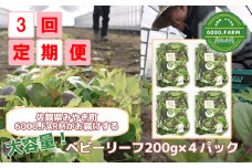 FV006【3回定期便】大容量ベビーリーフ200ｇ×４セット 有機JAS認証取得　新鮮 産地直送 サラダ