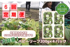 FV010【6回定期便】大容量ベビーリーフ200ｇ×４セット 有機JAS認証取得　産地直送