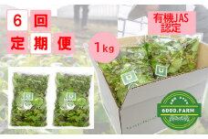 FV012【6回定期便】【飲食店御用達】有機JAS認証サラダリーフMix(500g×２袋　合計１ｋｇ）　新鮮 産地直送