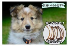 FB129 【お試し8本】超小型犬向け☆天然いのししの骨ガム(極細）