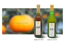DG025  皮ごと食べられる味香みかん使用の味香ワイン（赤仕立て辛口・白仕立て辛口）７２０ｍｌ×各１本（計２本）
