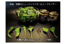 EG102  無塩・無糖　カシューナッツバター＆メープルバター（スプレッド）＆オーガニックベビーリーフMIXセット