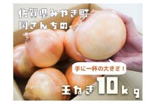 BE023_佐賀県みやき町岡さんちのたまねぎ10kg「２L、３Lサイズ」