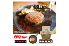 FT002  ジョージハンバーグ5食セット(人気のサワヤカソース付)