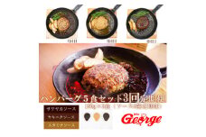 FT006  ジョージハンバーグ５食セット人気のソース３種類付定期便（全３回）