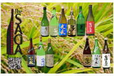 DV080_The SAGA認定酒飲み比べ毎月1本【 12回定期便】