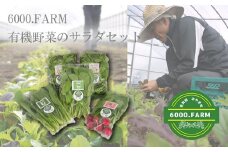 FV018_有機野菜のサラダセット