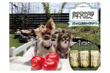 FB157_【訳あり】犬の無添加おやつ☆お砂糖不使用ドライりんご〈11月～5月20日限定〉