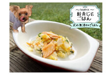 FB156_犬の無添加手づくりごはん☆鮭青じそごはん
