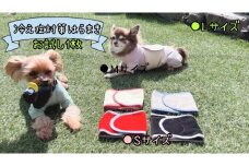 FB160_超小型犬・シニア犬の冷え性対策腹まき☆Lサイズ【お試し1枚】