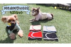 FB162_超小型犬・シニア犬の冷え性対策腹まき☆Mサイズ【4枚セット】