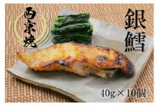 FX020_銀だら西京漬（真空パック40g×5ケ）×2個