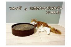 FB164_ねこちゃんストレス解消☆爪とぎサークル&天然100％またたびパウダー