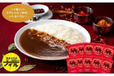 DR018_ナイルスペシャルカレーレトルト×１０袋セット