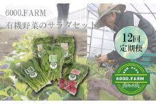 FV020_【12回定期便】6000.FARMの有機野菜のサラダセット