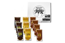 DR024_博多の名店ナイル　冷凍カレー１０袋セット