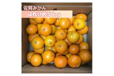 DV140_はれひめ5kg