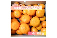 DV145_南津海（なつみ）みかん4.5kg