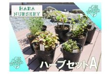 BS172_ハーブセットA　花 苗 植物 家庭菜園 花壇 プランター ガーデニング