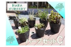 BS174_ハーブセットC　花 苗 植物 家庭菜園 花壇 プランター ガーデニング