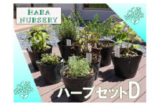 BS175_ハーブセットD　花 苗 植物 家庭菜園 花壇 プランター ガーデニング