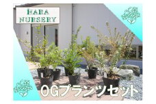 BS176_OGプランツセット　花 苗 植物 家庭菜園 花壇 プランター ガーデニング