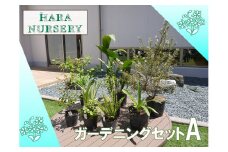 BS177_ガーデニングセットA　花 苗 植物 家庭菜園 花壇 プランター ガーデニング