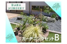 BS178_ガーデニングセットB　花 苗 植物 家庭菜園 花壇 プランター ガーデニング