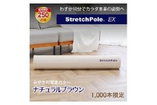FI004_【限定色】「ストレッチポールEX」（LPN社製）一流アスリートから医療の現場、ご家庭まで幅広く活用