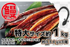 FK037_特大サイズ計１ｋｇの有頭鰻かば焼 1尾あたり約334ｇ前後×3尾（たれ・山椒付き）