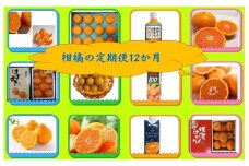 DV218_柑橘の１２カ月定期便