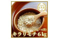 CIB97_佐賀県産『もち麦』６kg(１kg×６袋)【キラリモチ】