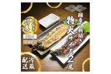 AK010_【冷蔵発送】朝開き国産うなぎ 当日発送２尾（1尾あたり約200～230ｇ） 塩焼き・味噌焼き 国産鰻 ウナギ