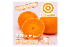 DV220_にじゅうまる 約5kgバラ入りお徳用