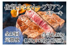 DP063_幻の部位！佐賀牛プレミアム定期便(全12回)佐賀牛シャトーブリアンステーキ５４０ｇ(１８０g×３枚)　総量約6480㎏